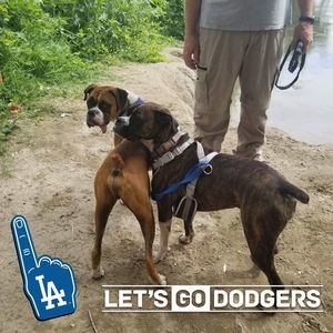 Meet your Posher, Robyn